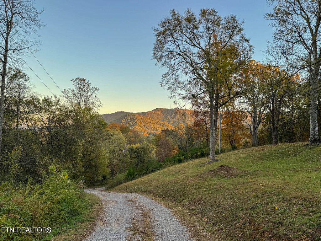 Photo of 12850 Chapman Hwy, Seymour, TN 37865 (MLS # 1319593)