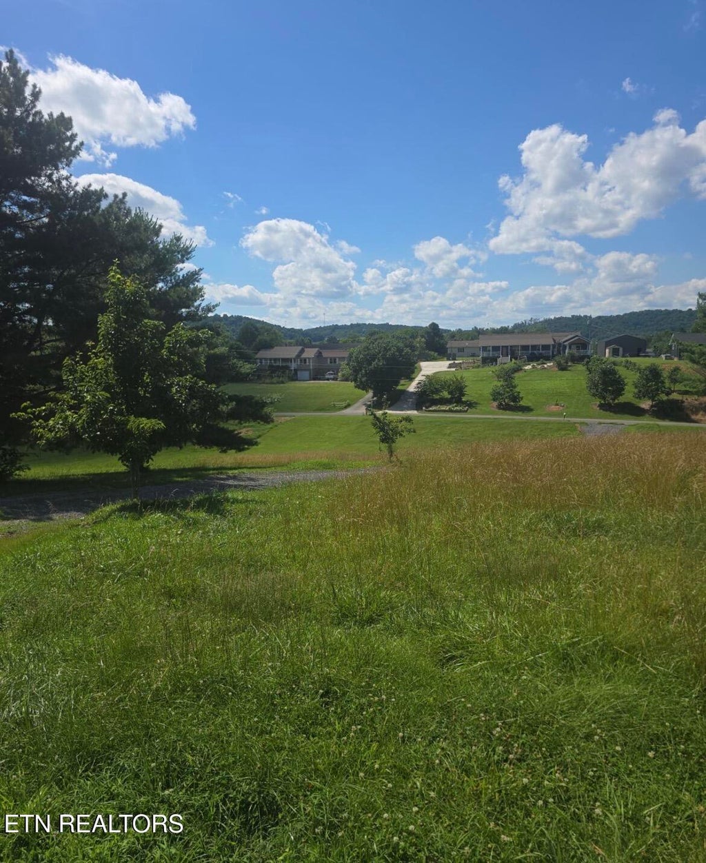 Photo of 1374 CAMELLIA Rd, Newport, TN 37821 (MLS # 1352186)