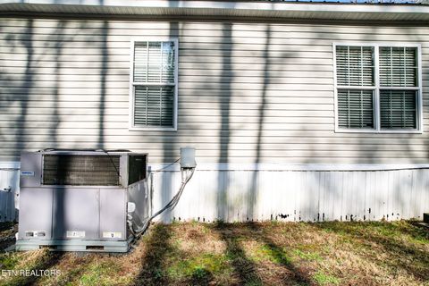 Tiny photo for 474 Punkton Rd, Del Rio, TN 37727 (MLS # 1330212)