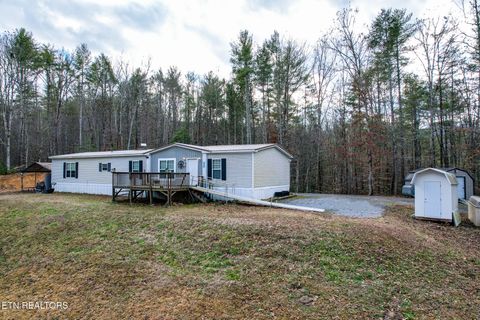 Photo of 474 Punkton Rd, Del Rio, TN 37727 (MLS # 1330212)