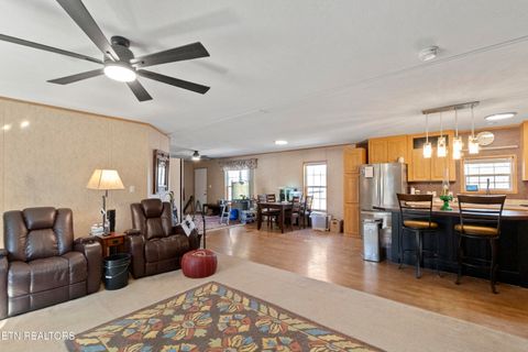 Tiny photo for 474 Punkton Rd, Del Rio, TN 37727 (MLS # 1330212)