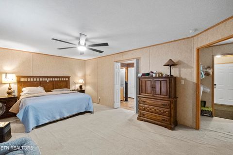 Tiny photo for 474 Punkton Rd, Del Rio, TN 37727 (MLS # 1330212)