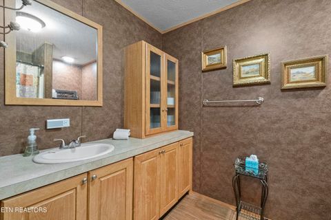 Tiny photo for 474 Punkton Rd, Del Rio, TN 37727 (MLS # 1330212)