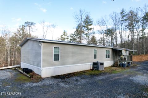 Tiny photo for 474 Punkton Rd, Del Rio, TN 37727 (MLS # 1330212)