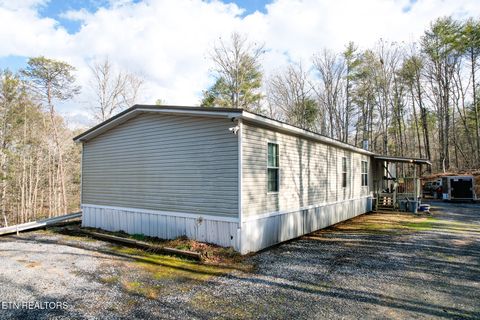 Tiny photo for 474 Punkton Rd, Del Rio, TN 37727 (MLS # 1330212)