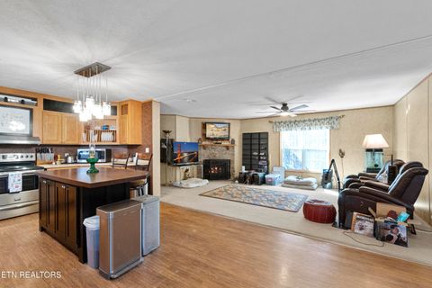 Tiny photo for 474 Punkton Rd, Del Rio, TN 37727 (MLS # 1330212)