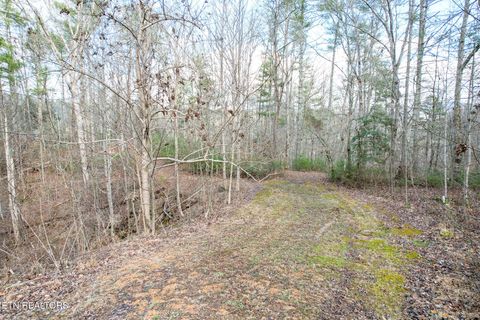 Tiny photo for 474 Punkton Rd, Del Rio, TN 37727 (MLS # 1330212)