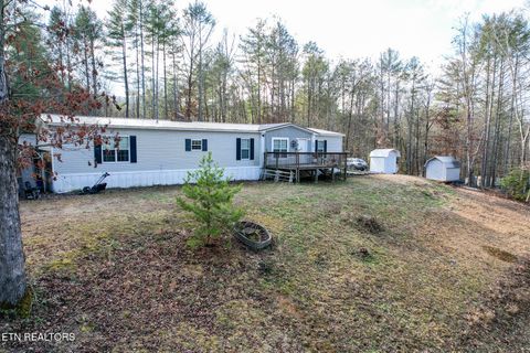 Tiny photo for 474 Punkton Rd, Del Rio, TN 37727 (MLS # 1330212)