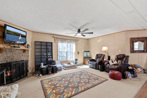 Tiny photo for 474 Punkton Rd, Del Rio, TN 37727 (MLS # 1330212)