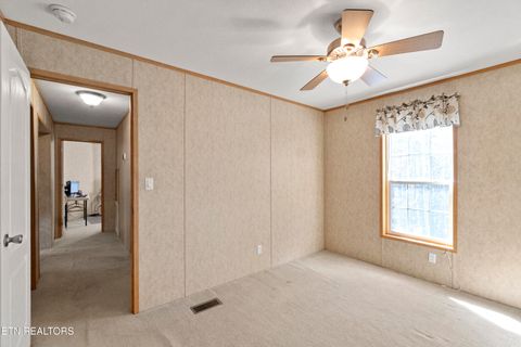 Tiny photo for 474 Punkton Rd, Del Rio, TN 37727 (MLS # 1330212)