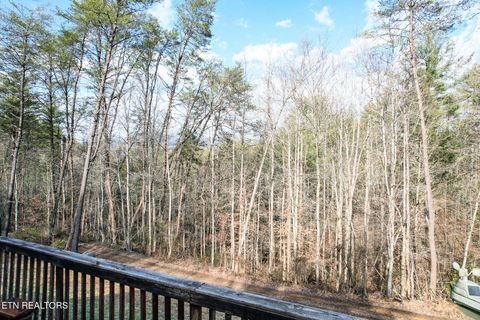 Tiny photo for 474 Punkton Rd, Del Rio, TN 37727 (MLS # 1330212)