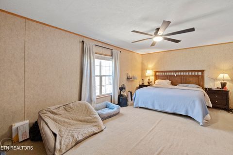 Tiny photo for 474 Punkton Rd, Del Rio, TN 37727 (MLS # 1330212)