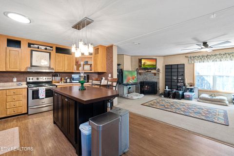 Tiny photo for 474 Punkton Rd, Del Rio, TN 37727 (MLS # 1330212)