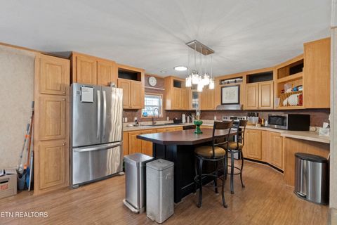 Tiny photo for 474 Punkton Rd, Del Rio, TN 37727 (MLS # 1330212)