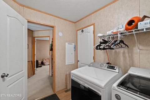 Tiny photo for 474 Punkton Rd, Del Rio, TN 37727 (MLS # 1330212)