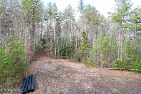 Tiny photo for 474 Punkton Rd, Del Rio, TN 37727 (MLS # 1330212)