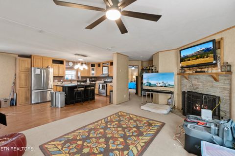 Tiny photo for 474 Punkton Rd, Del Rio, TN 37727 (MLS # 1330212)