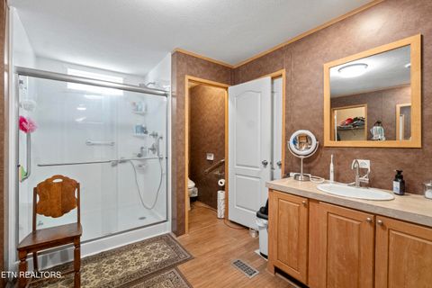 Tiny photo for 474 Punkton Rd, Del Rio, TN 37727 (MLS # 1330212)