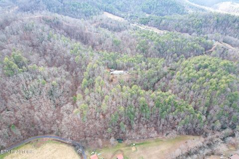 Tiny photo for 474 Punkton Rd, Del Rio, TN 37727 (MLS # 1330212)