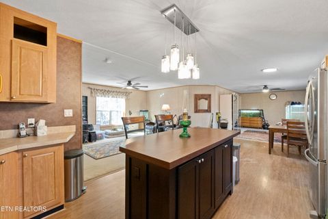 Tiny photo for 474 Punkton Rd, Del Rio, TN 37727 (MLS # 1330212)