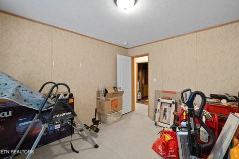 Tiny photo for 474 Punkton Rd, Del Rio, TN 37727 (MLS # 1330212)