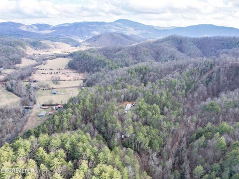 Tiny photo for 474 Punkton Rd, Del Rio, TN 37727 (MLS # 1330212)