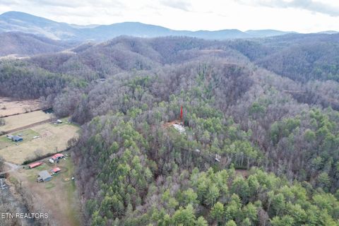 Tiny photo for 474 Punkton Rd, Del Rio, TN 37727 (MLS # 1330212)