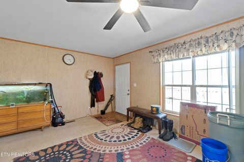 Tiny photo for 474 Punkton Rd, Del Rio, TN 37727 (MLS # 1330212)