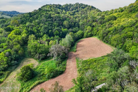 Tiny photo for 0 Jack Roberts Rd, Gainesboro, TN 38562 (MLS # 1355880)