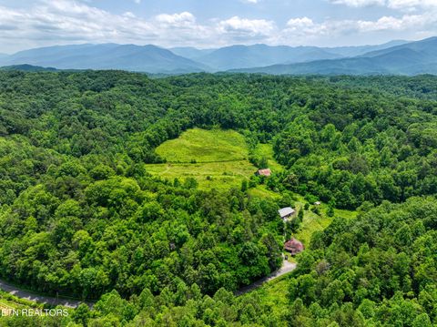 1A 4255 Lower Powdermill Rd Sevierville TN 37876