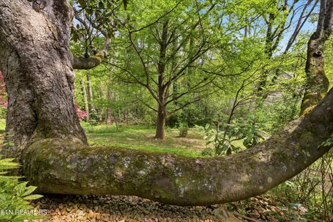 Tiny photo for 6920 Stone Mill Drive, Knoxville, TN 37919 (MLS # 1335935)