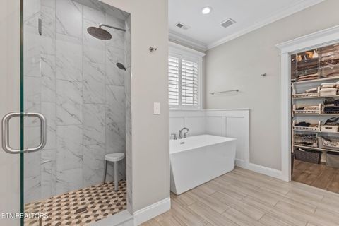 Tiny photo for 1006 Tea Olive Lane, Knoxville, TN 37919 (MLS # 1325211)