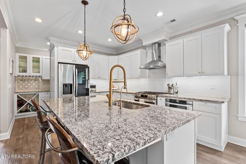 Tiny photo for 1006 Tea Olive Lane, Knoxville, TN 37919 (MLS # 1325211)