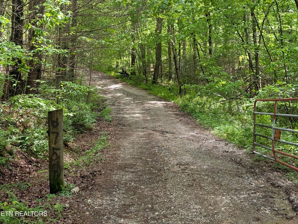 Photo of 158 Jess Ridge Rd, Lancing, TN 37770 (MLS # 1300033)