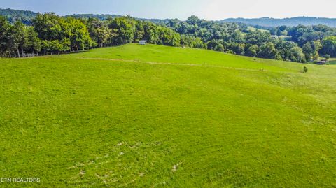 Tiny photo for Sharps Chapel Rd, New Tazewell, TN 37824 (MLS # 1329796)