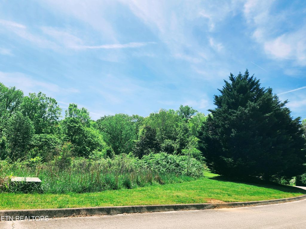 Photo of Melea Lane, Kingston, TN 37763 (MLS # 1311299)
