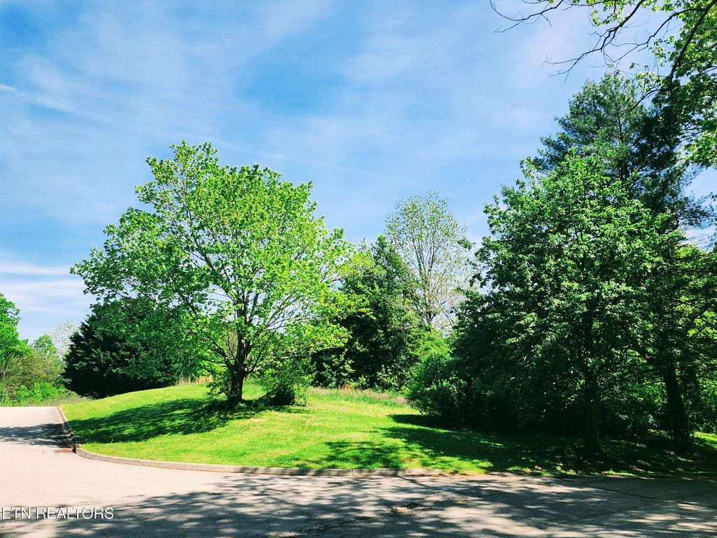 Photo of Melea Lane, Kingston, TN 37763 (MLS # 1311299)