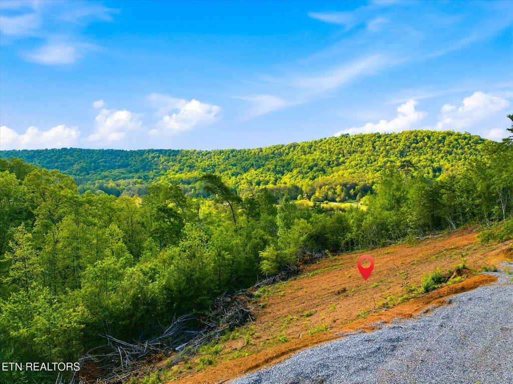 Photo of 1776 Fairview Rd, Tellico Plains, TN 37385 (MLS # 1350533)