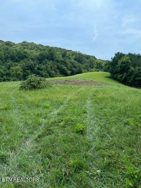 Photo of Sierra Ridge, Sharps Chapel, TN 37866 (MLS # 1343667)