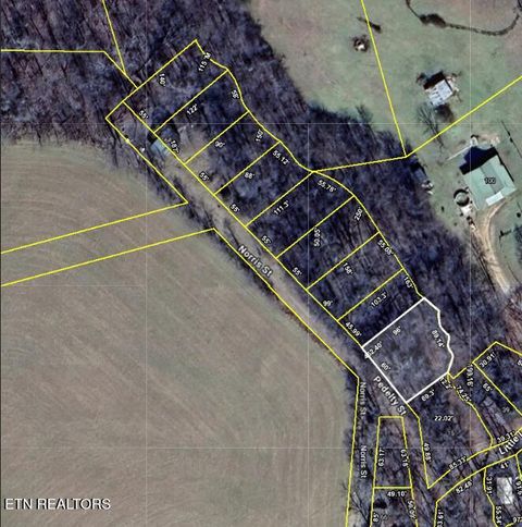 Photo of 19 Norris St, Crossville, TN 38572 (MLS # 1321414)