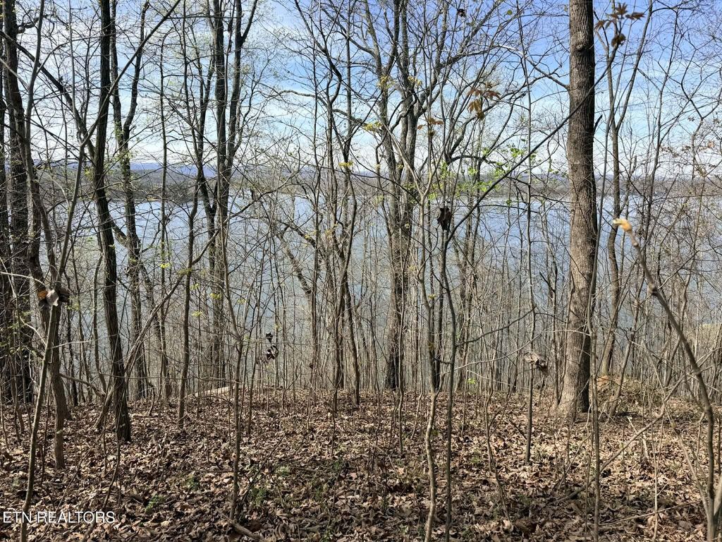 Photo of lot 7 Johnson Lane, Ten Mile, TN 37880 (MLS # 1333967)