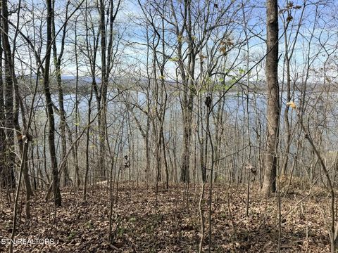 Photo of lot 7 Johnson Lane, Ten Mile, TN 37880 (MLS # 1333967)