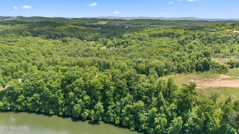 Tiny photo for 0 Williams Bend Rd #44.45 Acres, Knoxville, TN 37932 (MLS # 1359172)