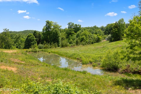 Tiny photo for 0 Williams Bend Rd #44.45 Acres, Knoxville, TN 37932 (MLS # 1359172)