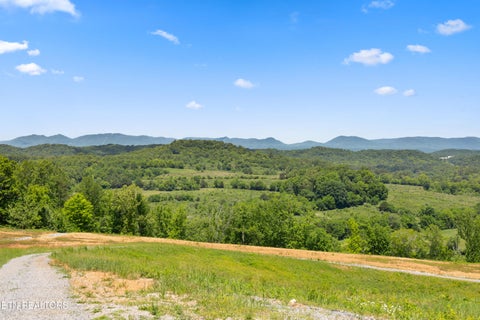 Tiny photo for 0 Williams Bend Rd #44.45 Acres, Knoxville, TN 37932 (MLS # 1359172)