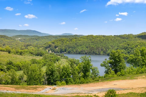 Tiny photo for 0 Williams Bend Rd #44.45 Acres, Knoxville, TN 37932 (MLS # 1359172)