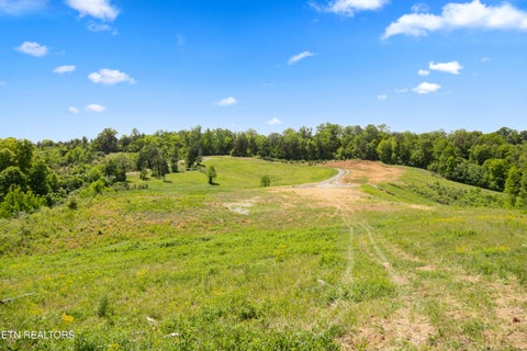 Tiny photo for 0 Williams Bend Rd #44.45 Acres, Knoxville, TN 37932 (MLS # 1359172)