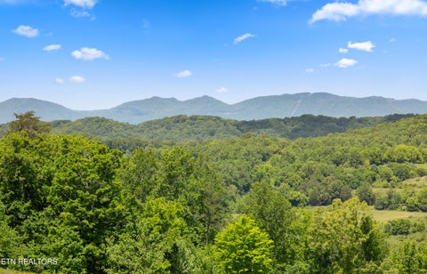 Tiny photo for 0 Williams Bend Rd #44.45 Acres, Knoxville, TN 37932 (MLS # 1359172)