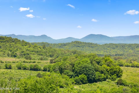 Tiny photo for 0 Williams Bend Rd #44.45 Acres, Knoxville, TN 37932 (MLS # 1359172)