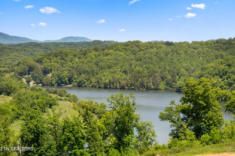 Tiny photo for 0 Williams Bend Rd #44.45 Acres, Knoxville, TN 37932 (MLS # 1359172)